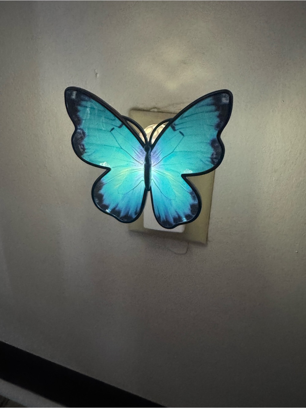 Blue Butterfly Plug In